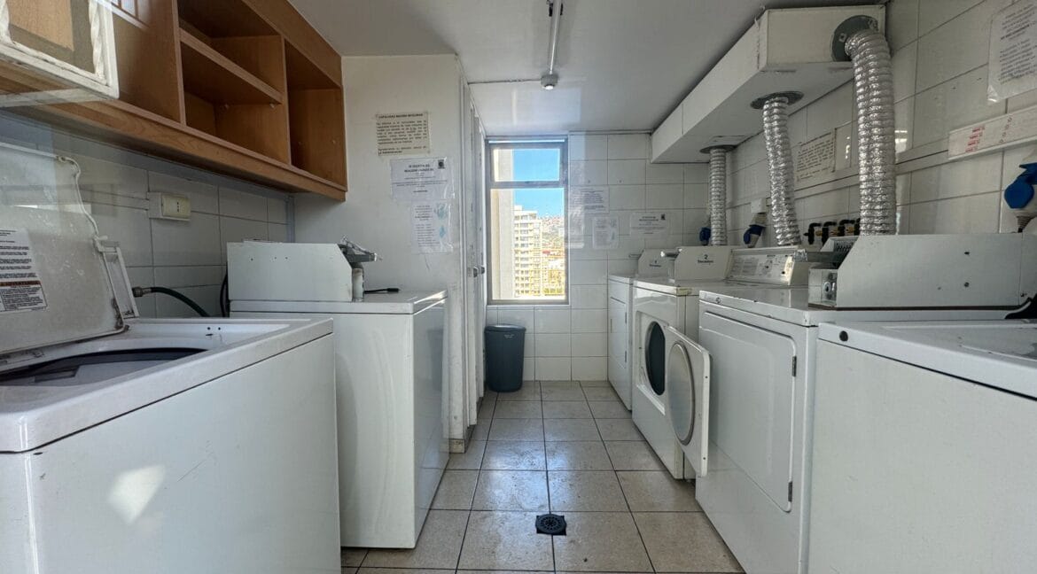 WhatsApp Image 2024-09-12 at 12.13.26