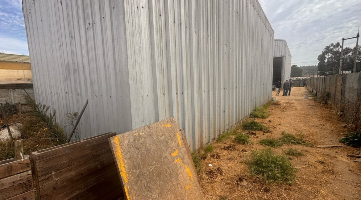 WhatsApp Image 2025-05-05 at 9.34.49 AM-3