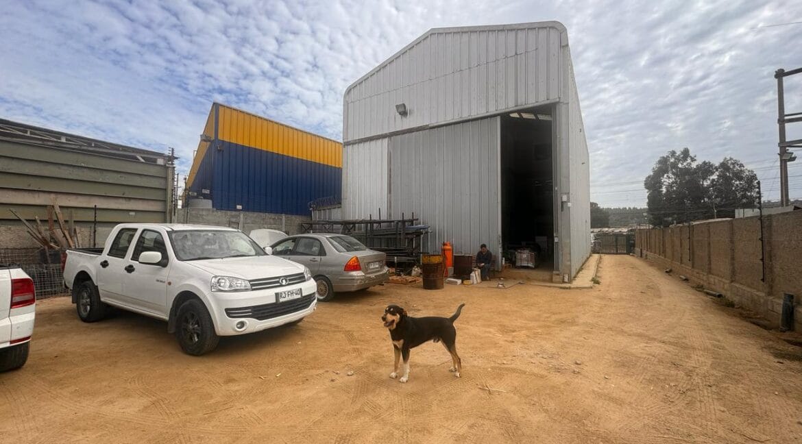 WhatsApp Image 2025-05-05 at 9.34.50 AM-2