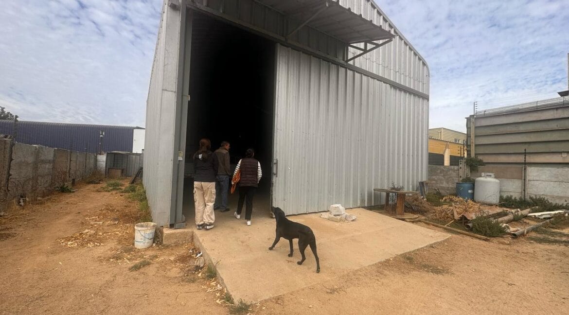 WhatsApp Image 2025-05-05 at 9.34.50 AM-3