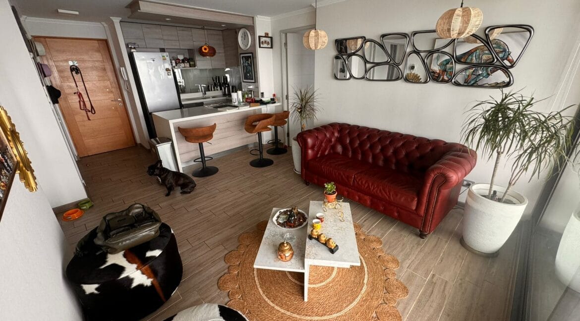 WhatsApp Image 2025-07-12 at 2.10.24 PM-3